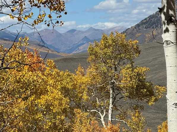 The Grove Wildwater Way, Almont, CO 81210