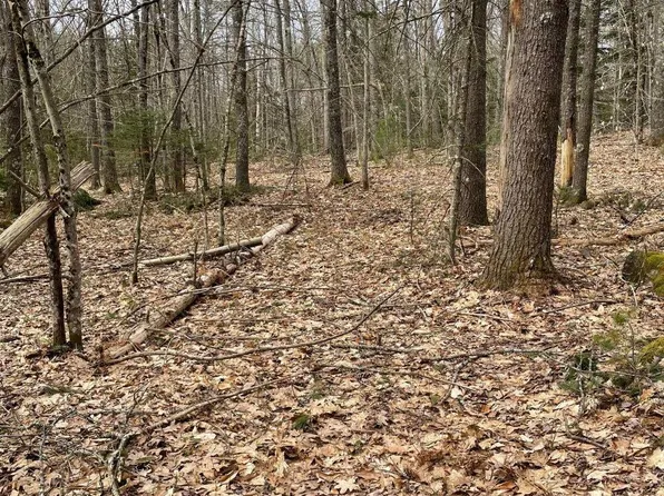 Lot 15A Back Road, Shapleigh, ME 04076