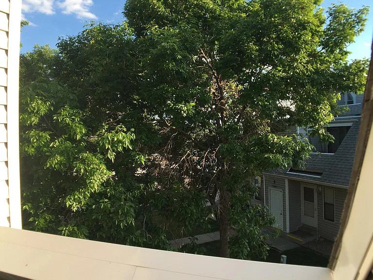 8701 Huron St — Photo 12