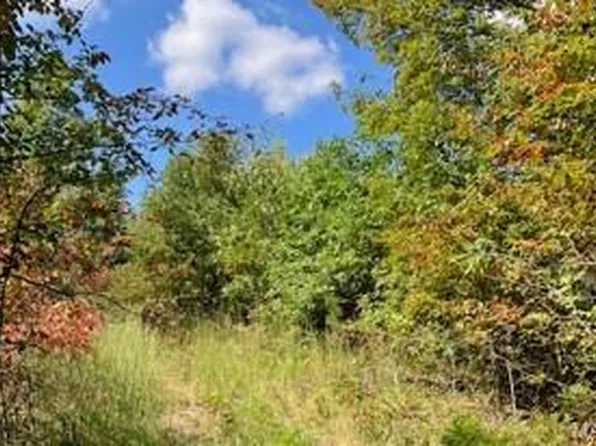 10 Church Rd, Annapolis, MO 63620