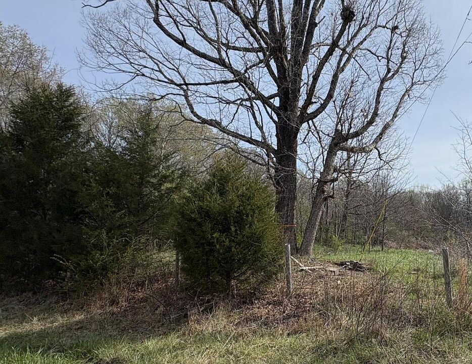 2nd image of 0 Winfred Brady Rd