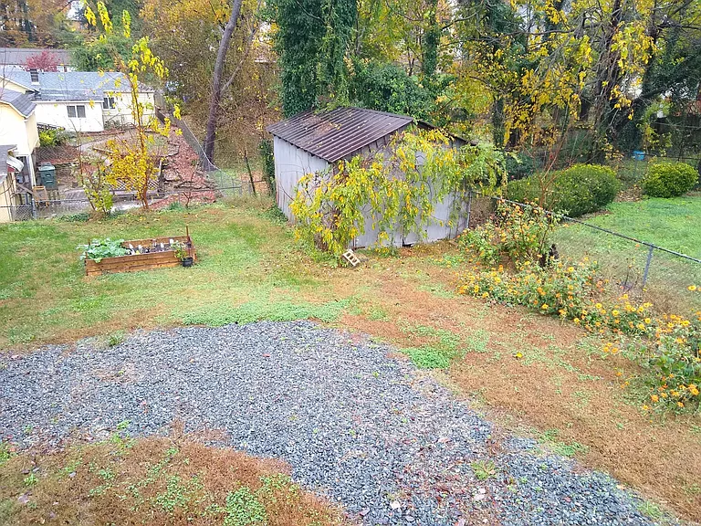 Back yard photo 2