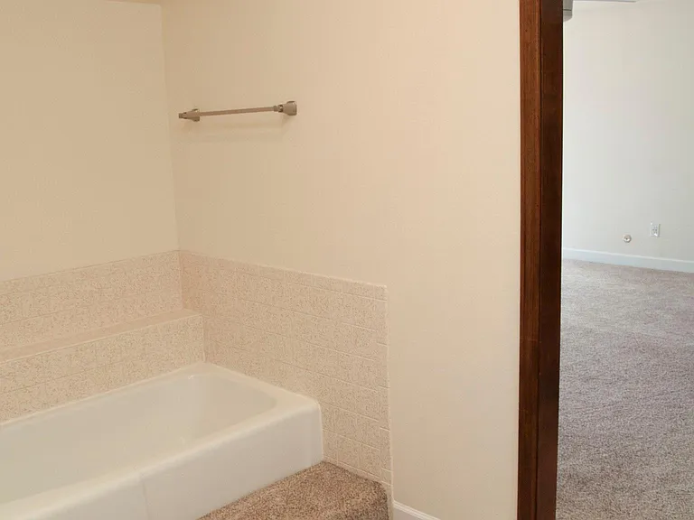 Step up Master bedroom tub