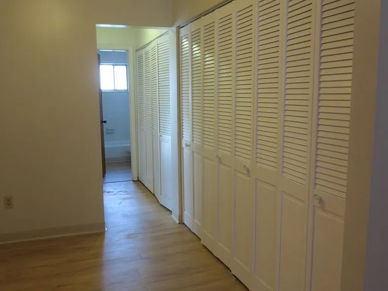 Hallway Closets