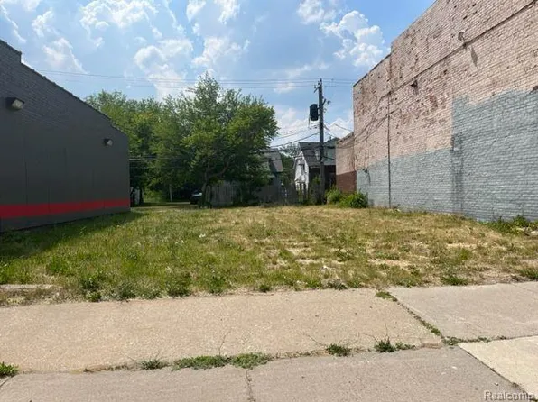 14903 Livernois Ave, Detroit, MI 48238