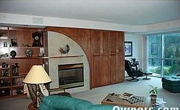 living room fire place