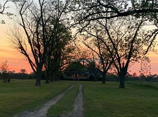 919 Gilliard Rd, Pelham, GA 31779