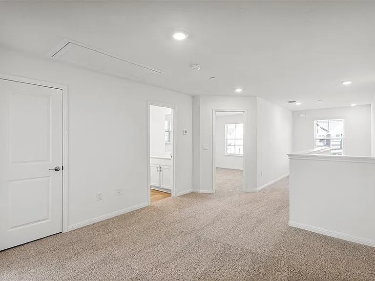 2517 Violet Theo Ln — Photo 10