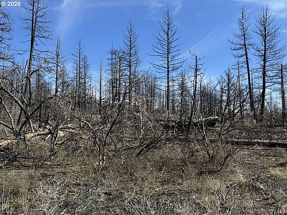 5th image of Hummingbird Dr #1