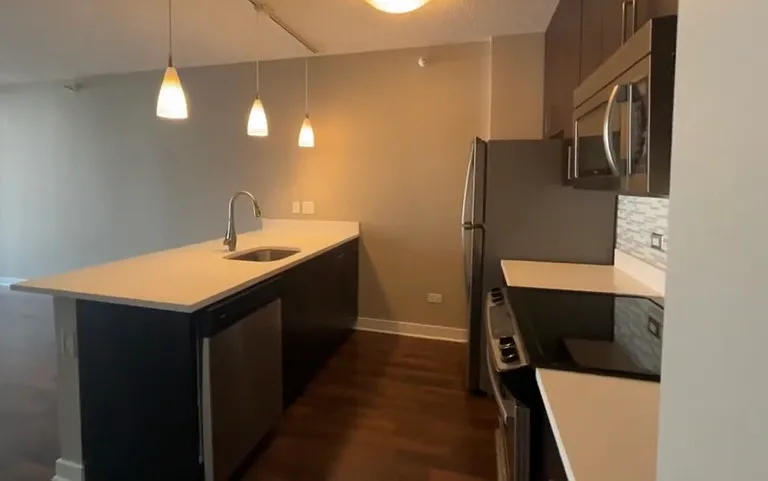 739 N Wabash Ave #700 — Photo 3