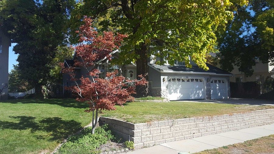 2nd image of 371 E Sandy Woods Ln