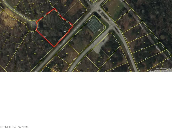 239 Burr Oak Ln, Harriman, TN 37748