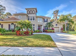 5114 Tari Stream Way, Brandon, FL 33511