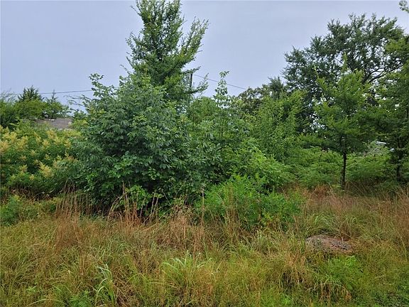 2nd image of 0 Lemon Piney Creek Street Lot 15 16 #4-17