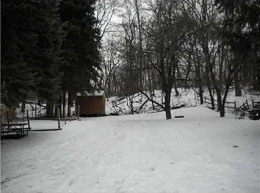 Large fenced in backyard