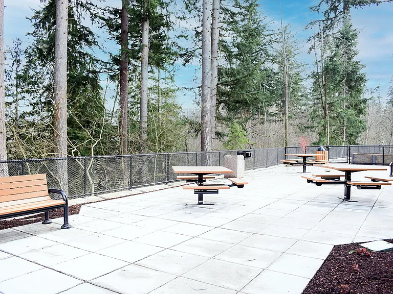 Picnic Area With BBQ Grilling Station