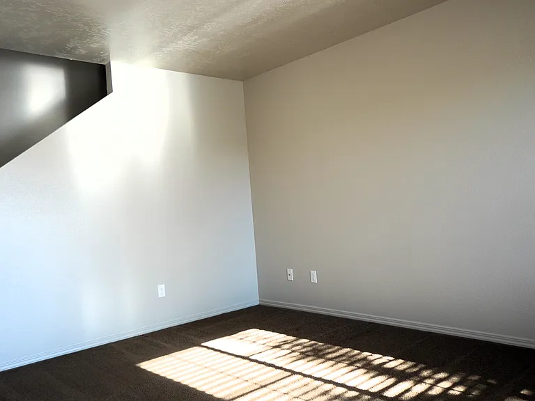 10686 Ice Springs St — Photo 4