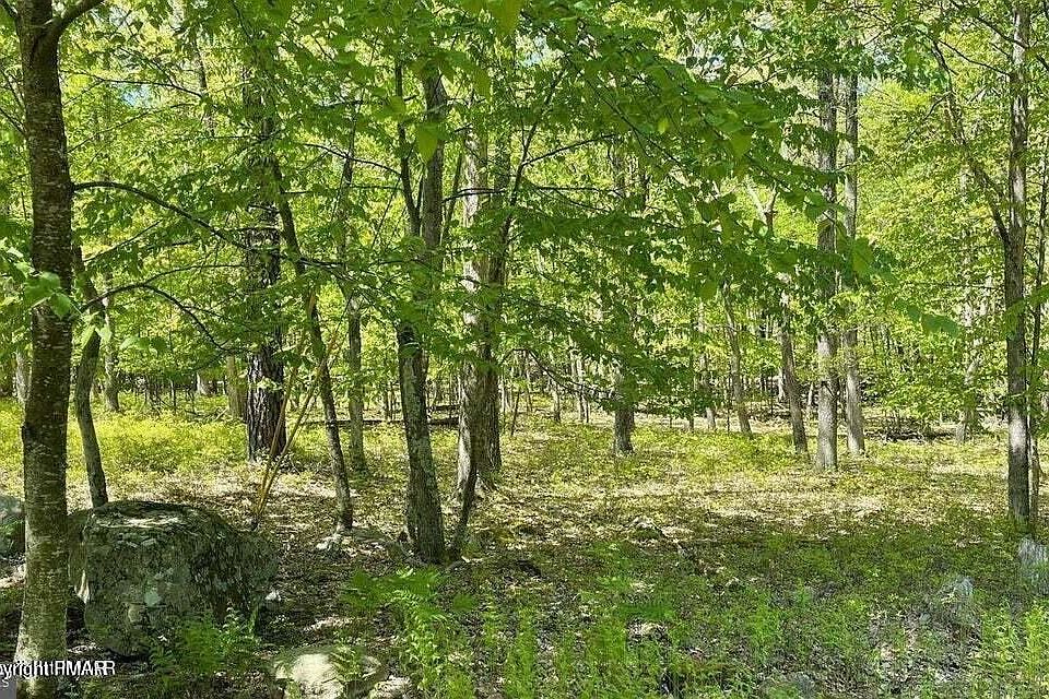1st image of Spring Ct