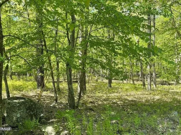 Spring Ct, Bushkill, PA 18324