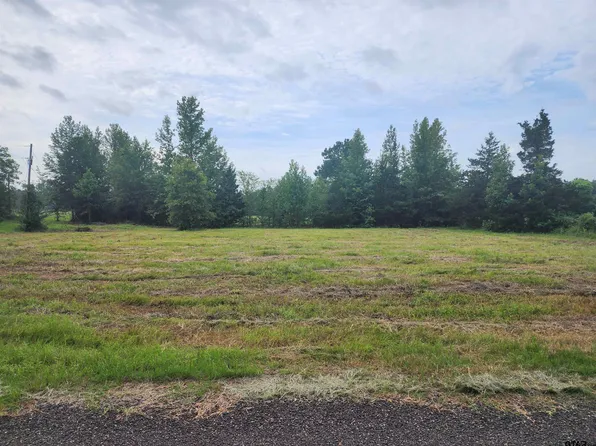 4425 Cr, Pittsburg, TX 75686