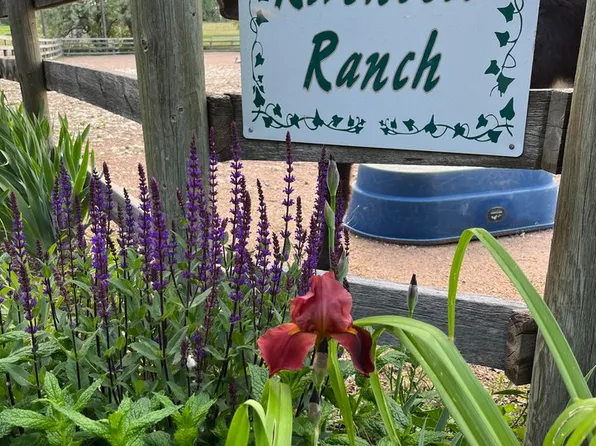 6408 E County Road 44, Fort Collins, CO 80524