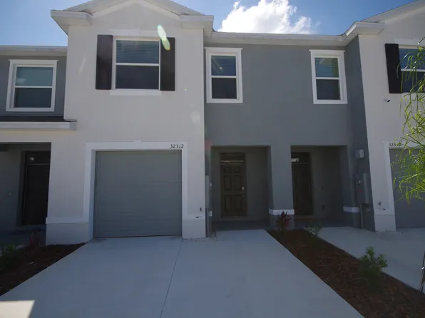 32312 Turtle Grace Loop, Wesley Chapel, FL 33545