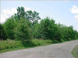 1st image of 67257 County Road 27
