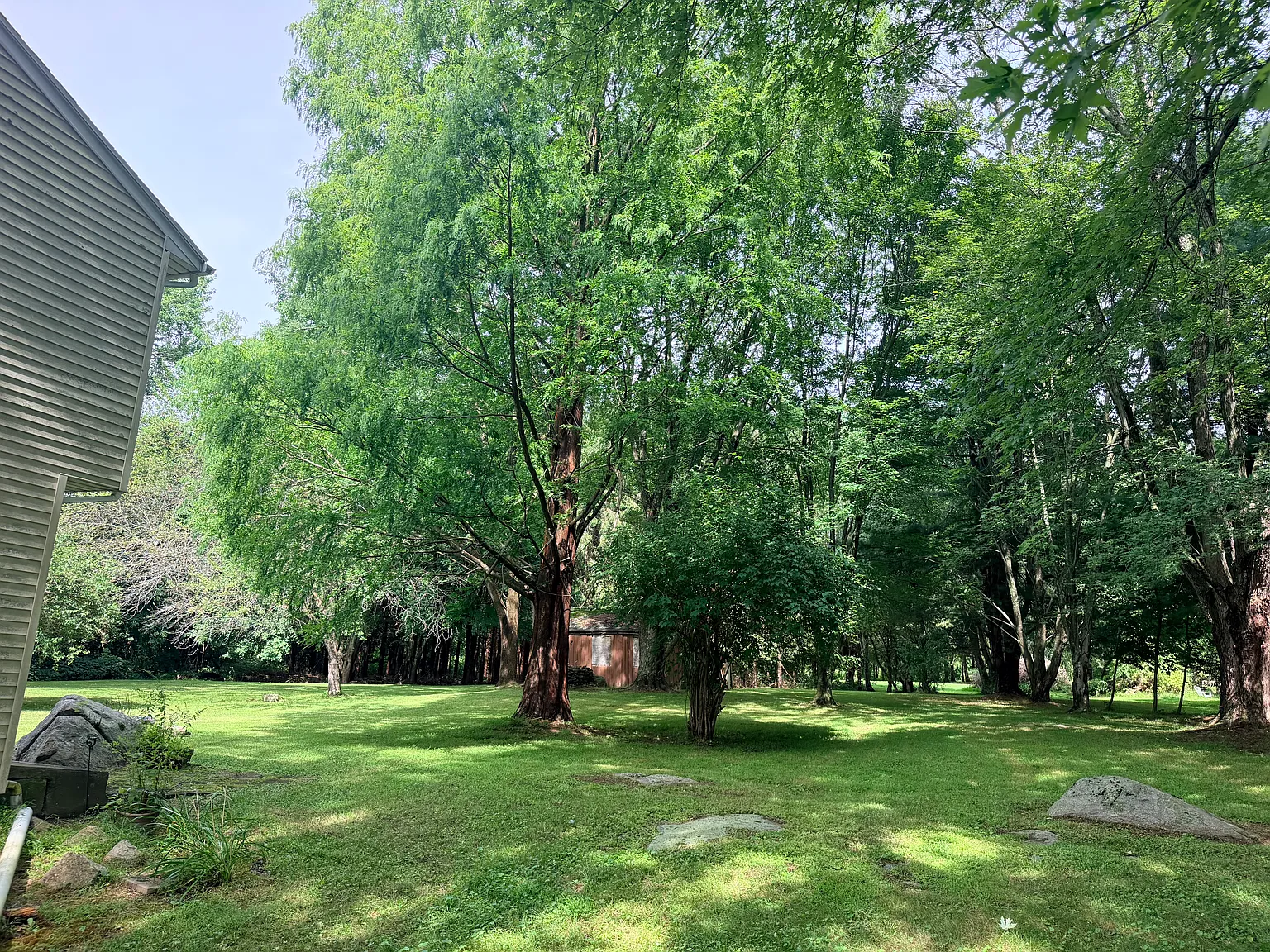 3 bed, 1.5 bath, 1100 sqft, $2,400 — Photo 2