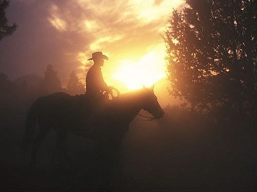 Indian Hammock Hunt & Riding Club