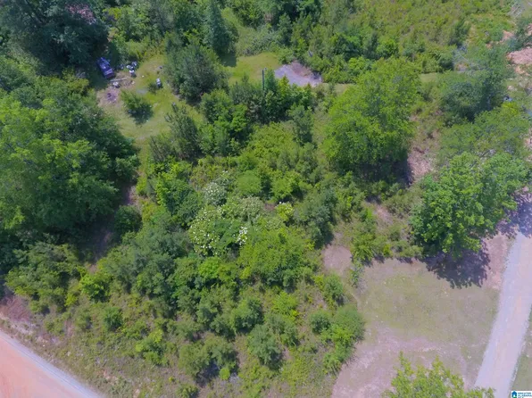 0 Dusty Trail Ln #0, Talladega, AL 35160
