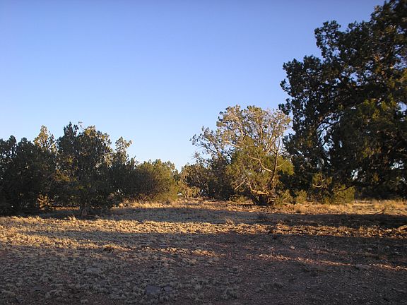 LOTS OF ROOM FOR CABIN