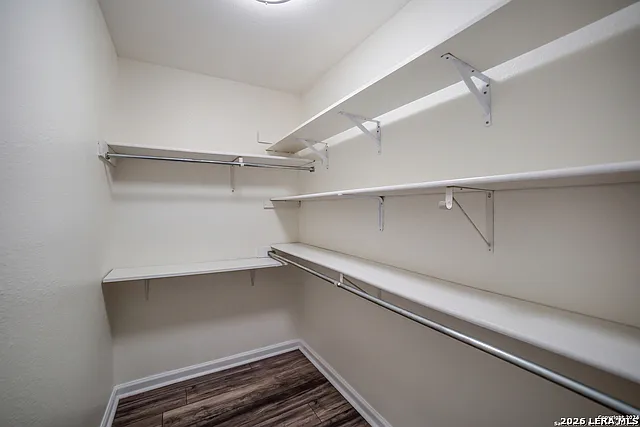 13906 Tangle Tree St — Photo 21