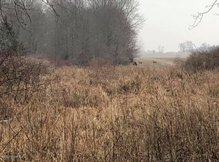 7985 Watkins Rd, Allen, MI 49227