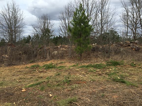 3rd image of 110 Geneva Ct