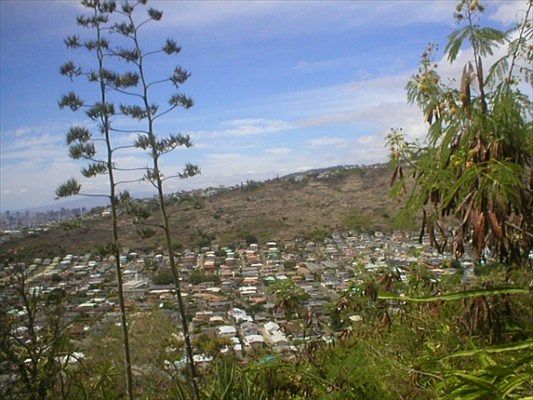 3rd image of 1622 Mikahala Way Lot 100