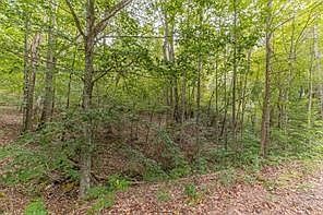 3rd image of 4033 Hidden Hollow Dr