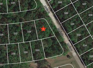 191 Dolphin Ln, Palatka, FL 32177