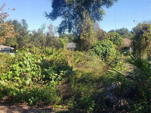 Chestnut Avenue Lot #16, Orange City, FL 32763