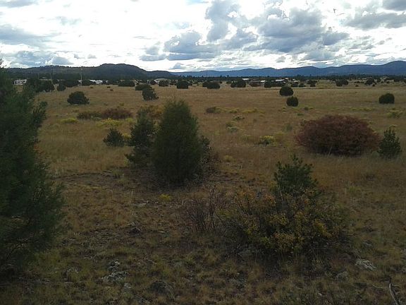 5th image of White Mountain Acres