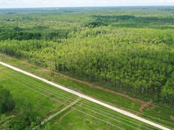 NE 125th Ave, Fort Mc Coy, FL 32134