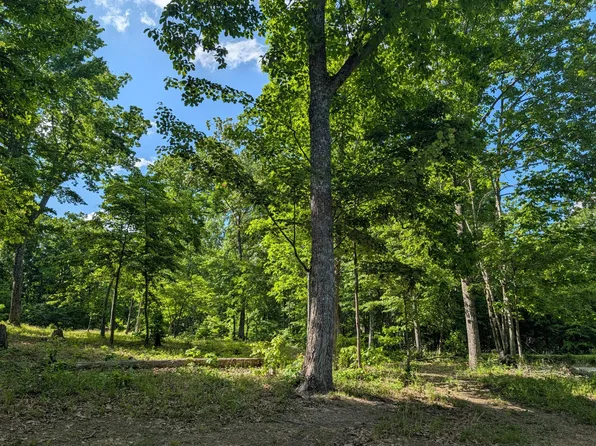 9495 Red Oak Ln Lot 94/95, Spring City, TN 37381
