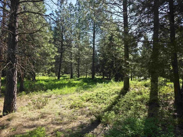 LOT 62 Old Mill Rd, McCloud, CA 96057
