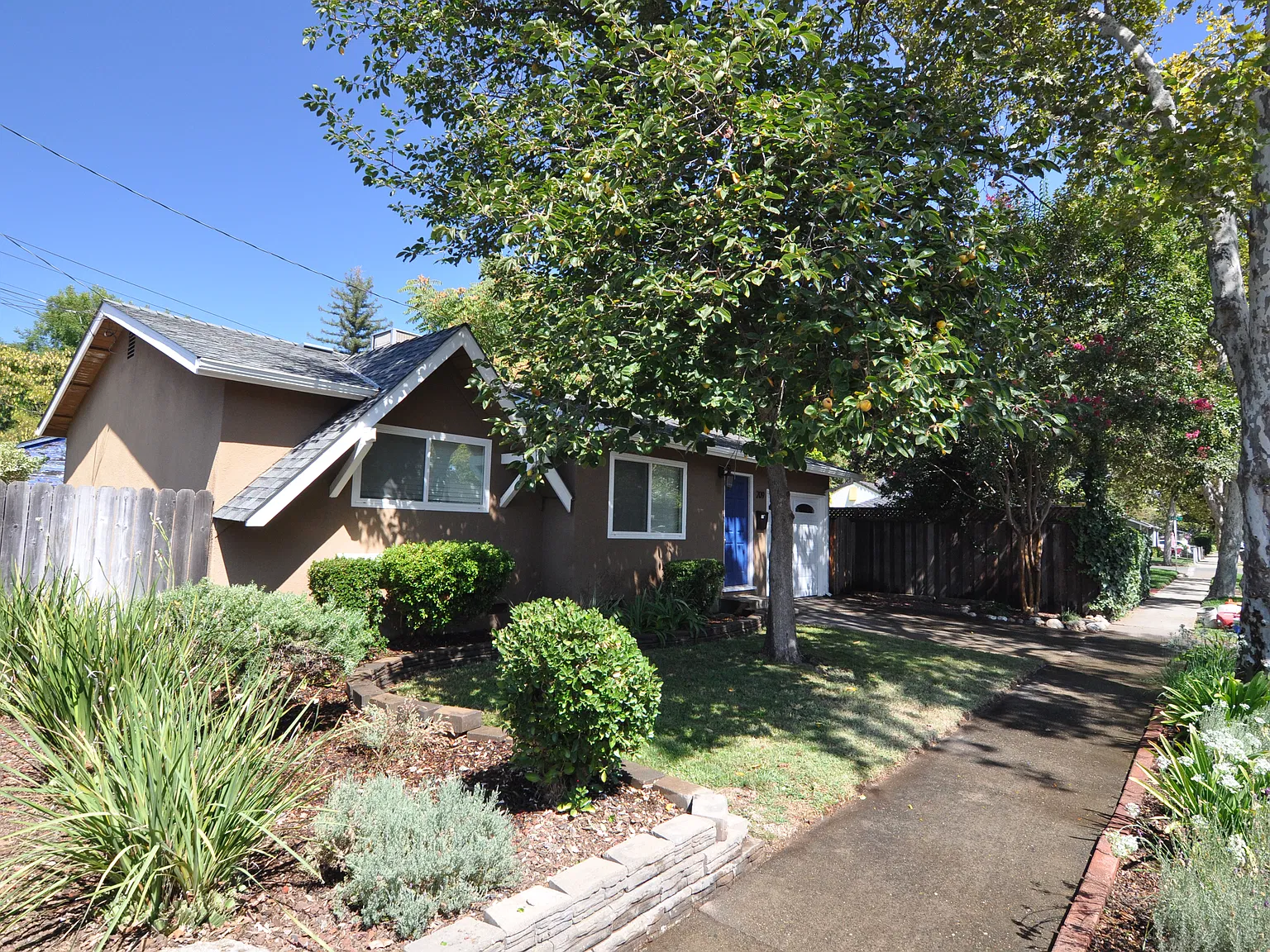 2 bed, 800 sqft, $2,200 — Photo 3