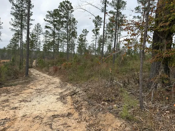 0 County Road 472, Meridian, MS 39301