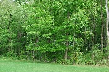4th image of 123 Cornwall Pl