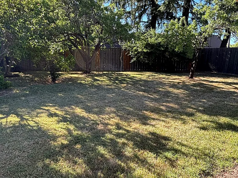 3616 Wood Duck Cir — Photo 93