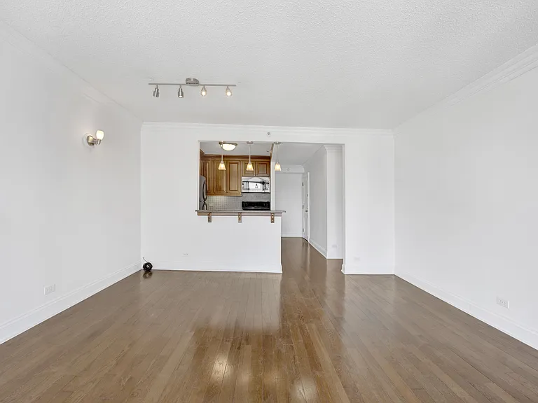 10 E Ontario St #3412 — Photo 4