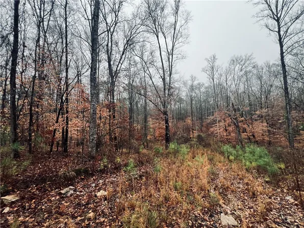 0 Lee Road 393, Auburn, AL 36832