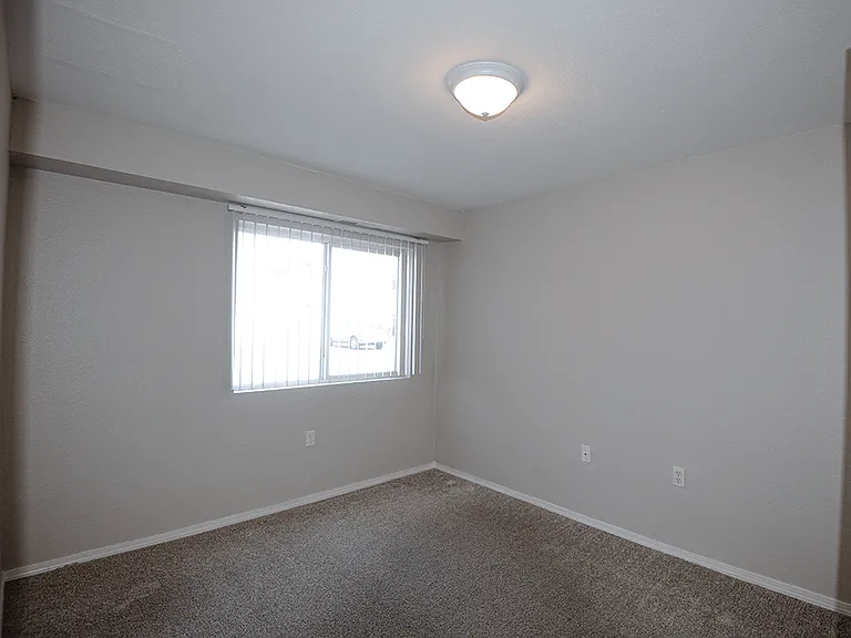 Carpeted Bedroom with Window