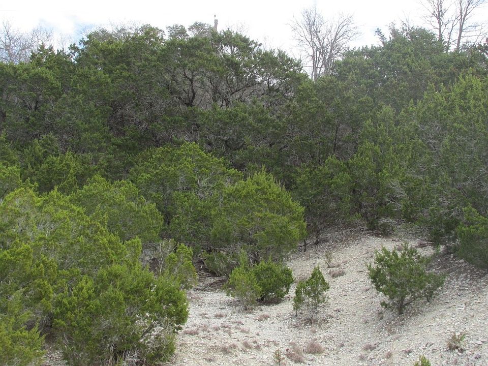 1st image of 4264 Bluebonnet Dr